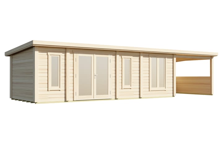 Pent with Canopy 10400x3000
