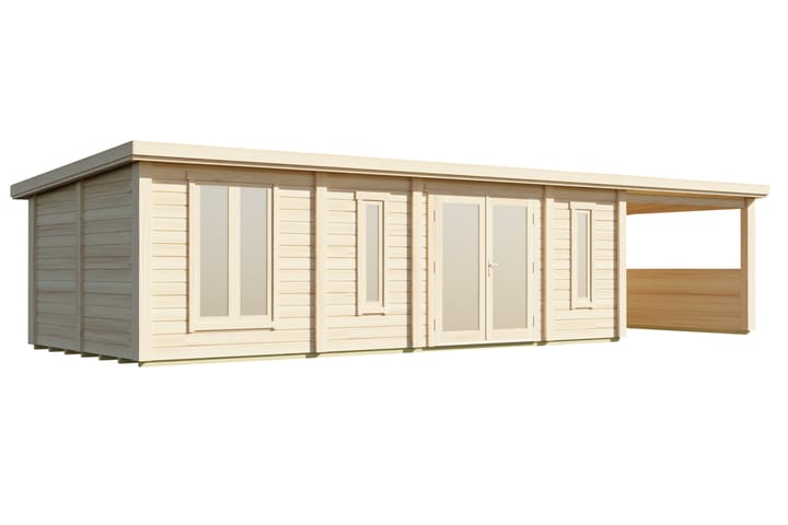 Pent with Canopy 10400x4000