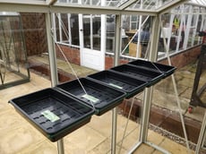  Seed Tray  Shelf Green 4'Long