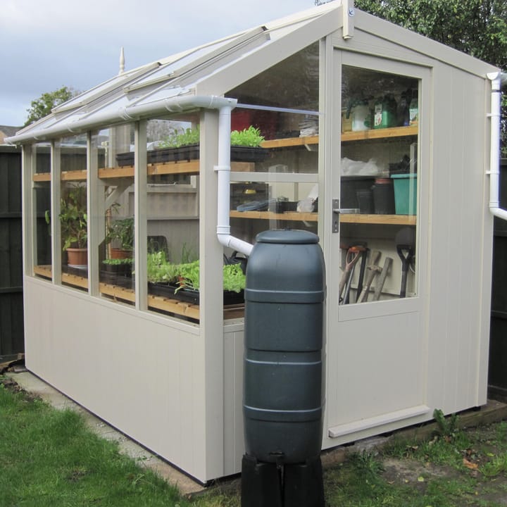 This 6ft x 8ft Swallow Jay greenhouse has the optional 'Purbeck Stone' painted finish. Optional additional high level shelving and guttering have been added to this greenhouse.