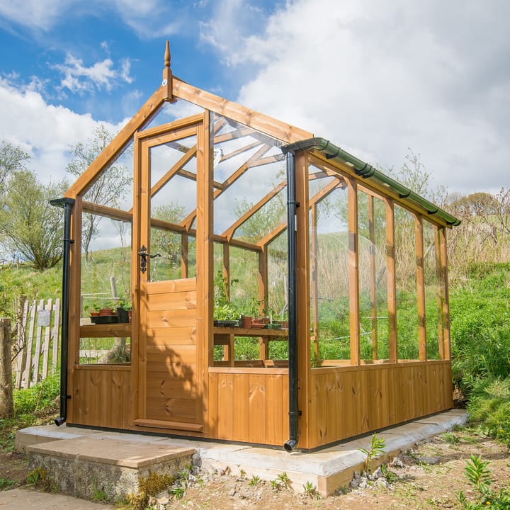 This 6ft x 8ft Swallow Kingfisher greenhouse has the optional oiled finish. Optional guttering has been added to this greenhouse.