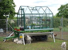 Best selling Classic 6ft x 8ft Green Greenhouse Starter Package