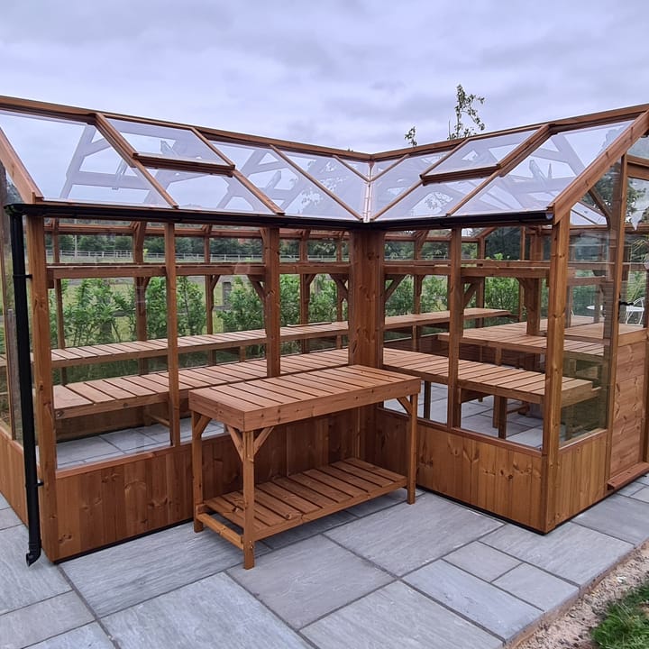 6ft 8in deep x 20ft wide Swallow Cygnet t-shaped greenhouse. The Cygnet incudes front returned staging which sits at the front of the greenhouse and wraps around into the porch area. Optional 'Oiled finish' has been applied to the ThermoWood timber. Other optional extras added to this greenhouse include additional staging to the rear, front returned high level shelving and the 4ft 5in deep porch. The Cygnet can be constructed in either dwarf wall format or as pictured here freestanding. There is no extra cost for the dwarf wall option.