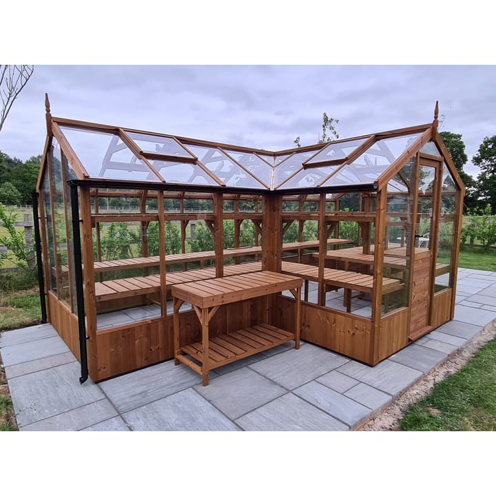 6ft 8in deep x 20ft wide Swallow Cygnet t-shaped greenhouse. The Cygnet incudes front returned staging which sits at the front of the greenhouse and wraps around into the porch area. Optional 'Oiled finish' has been applied to the ThermoWood timber. Other optional extras added to this greenhouse include additional staging to the rear, front returned high level shelving and the 4ft 5in deep porch. The Cygnet can be constructed in either dwarf wall format or as pictured here freestanding. There is no extra cost for the dwarf wall option.