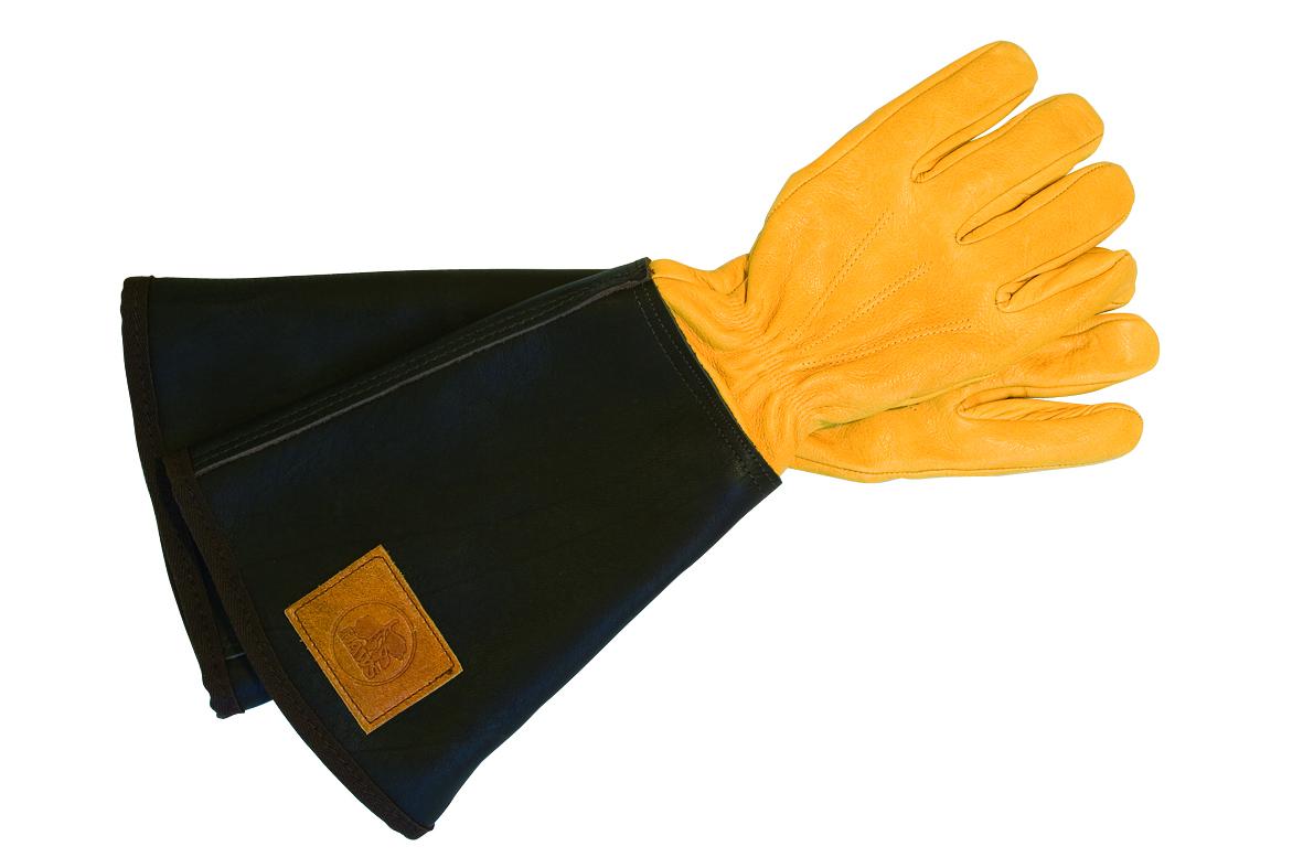 green winning gloves