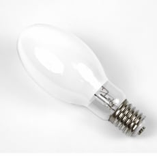 Mercury Fluorescent bulb
