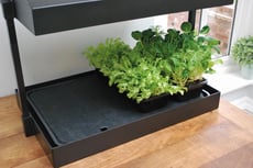 Self watering tray insert for grow light garden