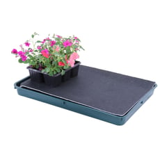 Self watering tray - Large
