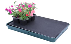 Self watering tray - Large