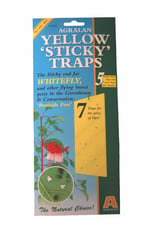 Yellow 'Sticky' Traps